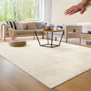 Multifunctional living room