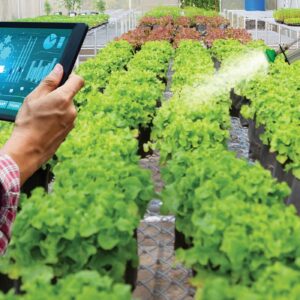 Could Smart Gardening Be the Secret to a Happier, Healthier Home?