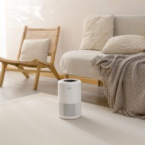 Breathing Better at Home: Why Levoit Is Becoming a Must-Have for Healthier Living