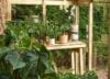 Buy Sheds Direct Is Changing How People Think About Their Gardens